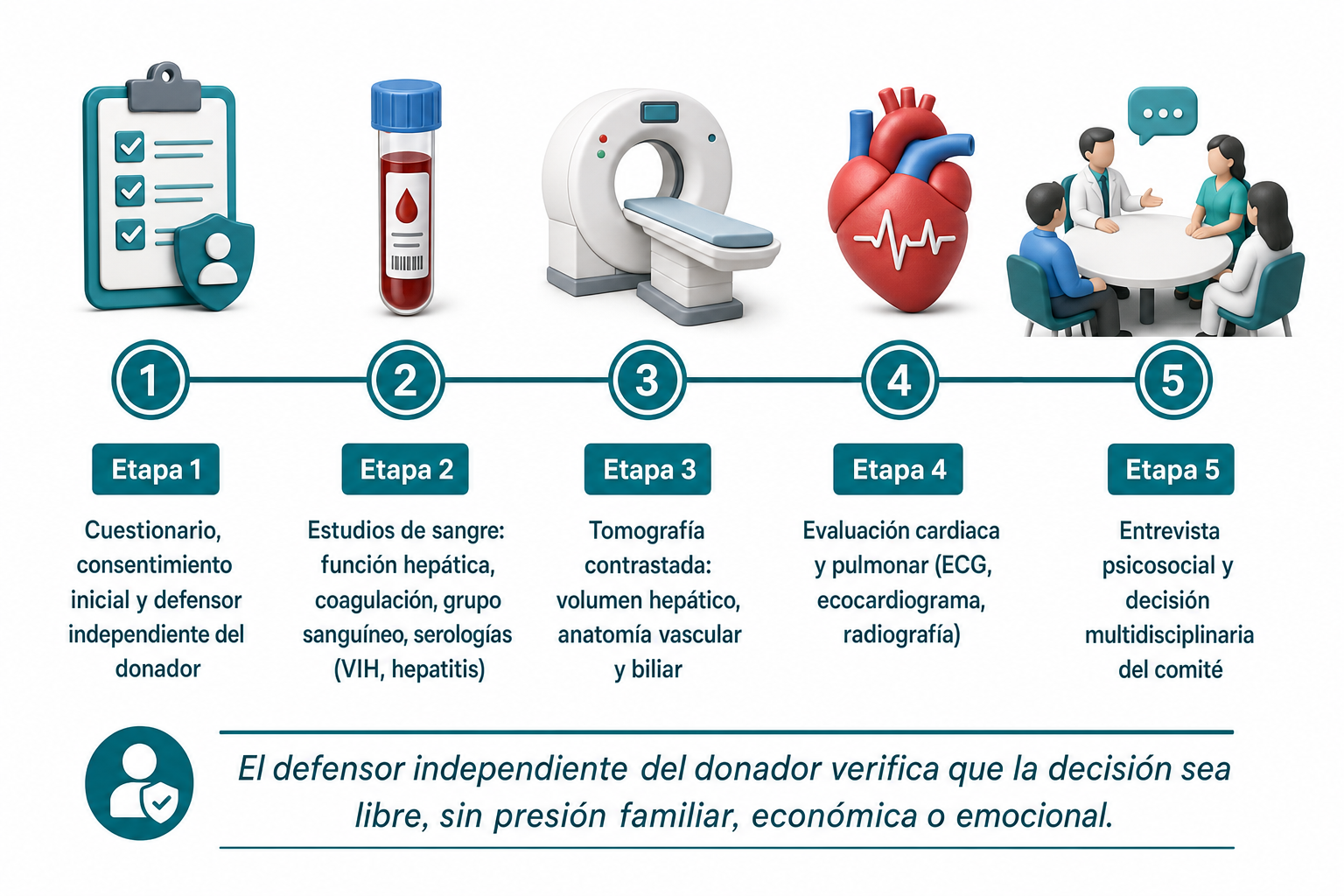 Infografía: 5 etapas de evaluación del donador