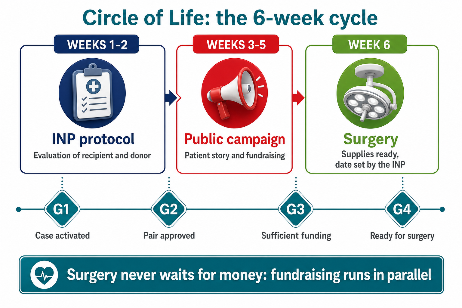 Infographic: the 6-week Circle of Life cycle, with the 4 decision gates G1 to G4